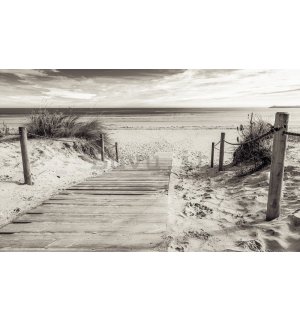 Fotomurale in TNT: Spiaggia (in bianco e nero) - 104x152,5 cm