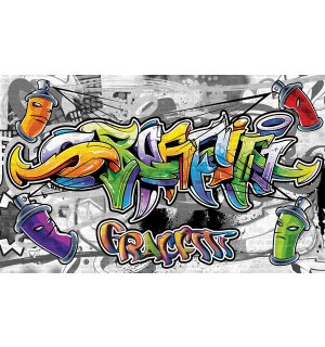 Fotomurale in TNT: Graffiti colorati - 254x368 cm