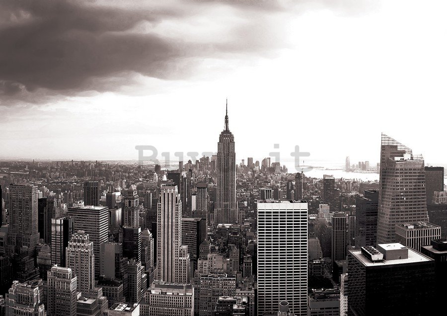 Fotomurale in TNT: Manhattan (in bianco e nero) - 254x368 cm