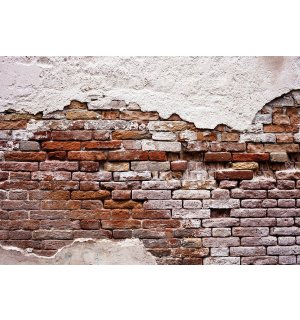 Fotomurale: Vecchio muro di mattoni - 184x254 cm
