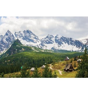 Fotomurale: Monti Tatra (1) - 254x368 cm