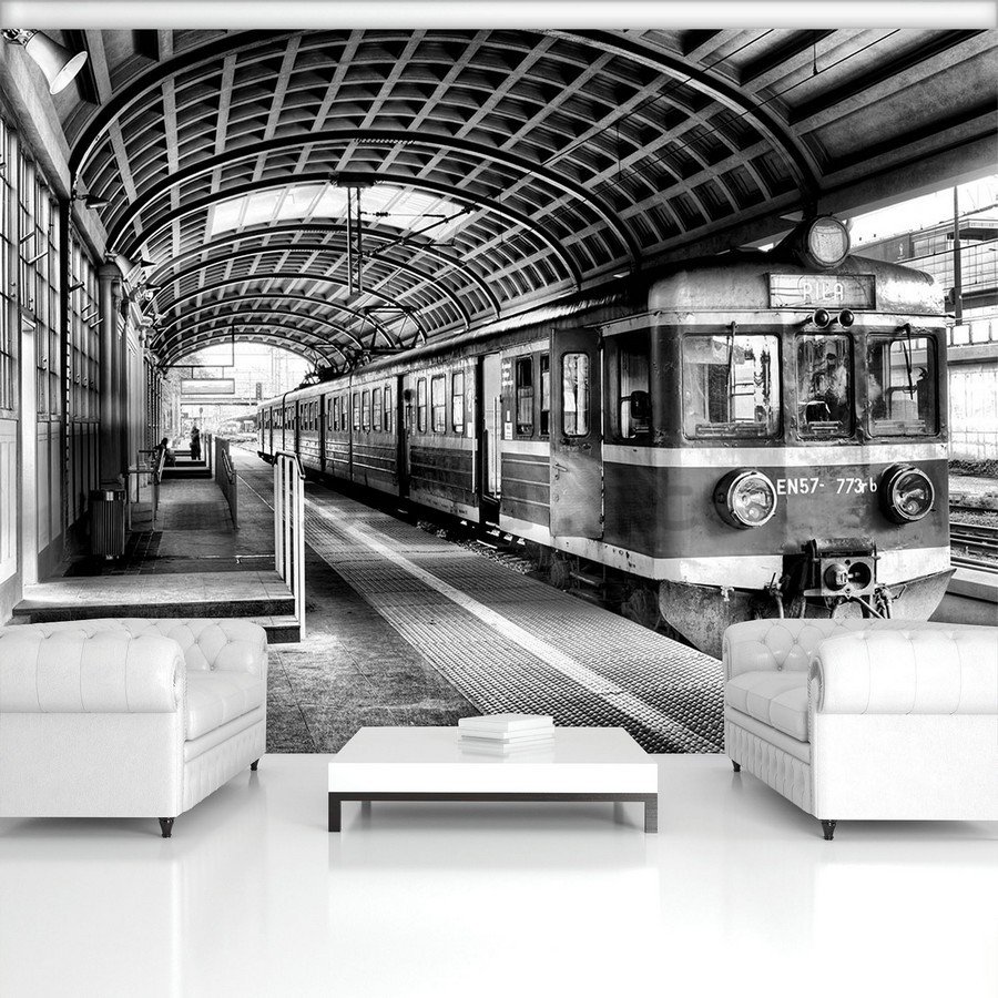 Fotomurale: Vecchia metropolitana (bianco e nero) - 254x368 cm
