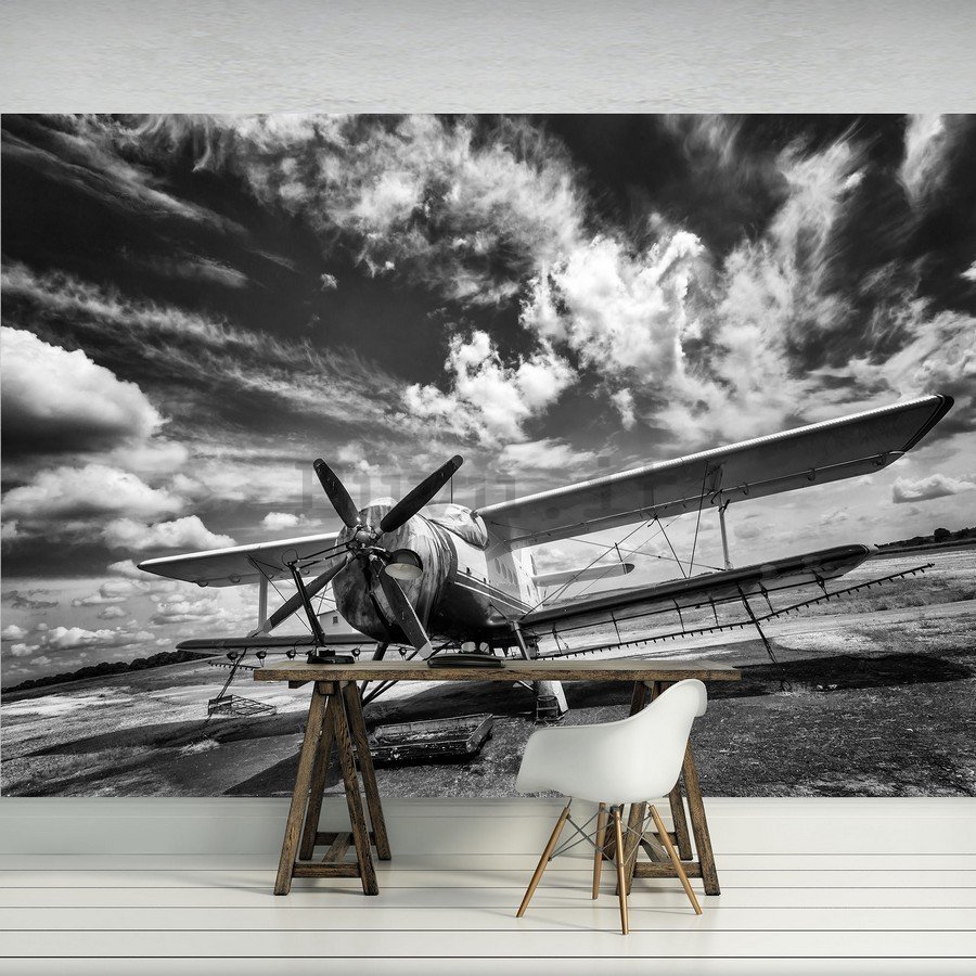 Fotomurale: Biplano (bianco e nero) - 184x254 cm