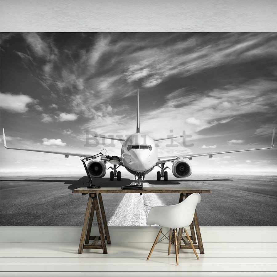 Fotomurale: Jet (bianco e nero) - 184x254 cm