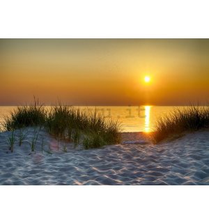 Fotomurale: Tramonto sulla spiaggia (5) - 254x368 cm