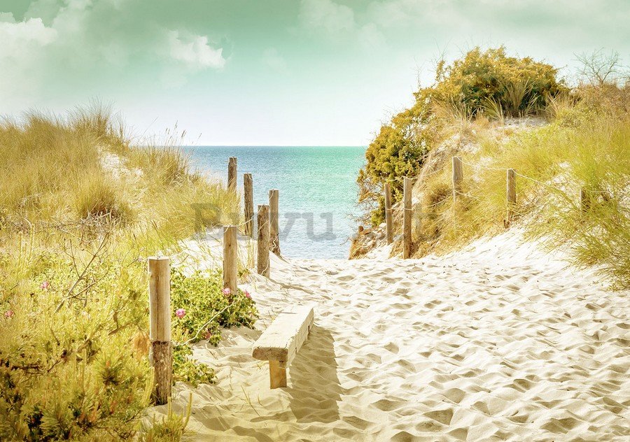 Fotomurale: Sentiero sulla spiaggia (9) - 184x254 cm