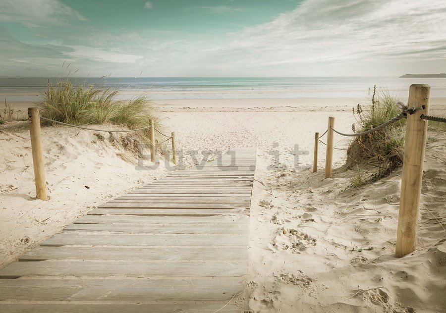 Fotomurale: Sentiero sulla spiaggia (10) - 184x254 cm