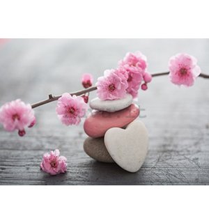 Fotomurale: Ciliegio in fiore e cuore - 254x368 cm