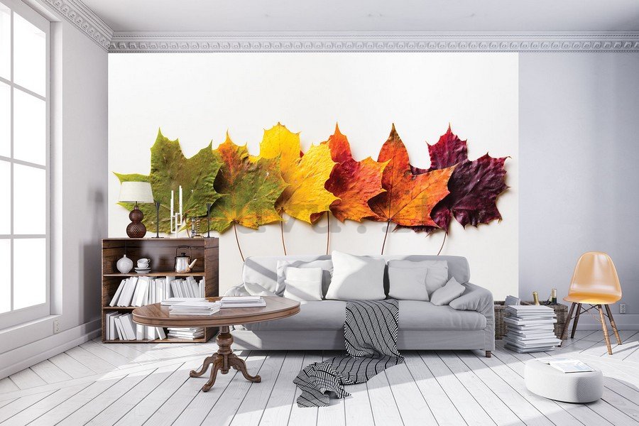 Fotomurale: Foglie in autunno - 254x368 cm