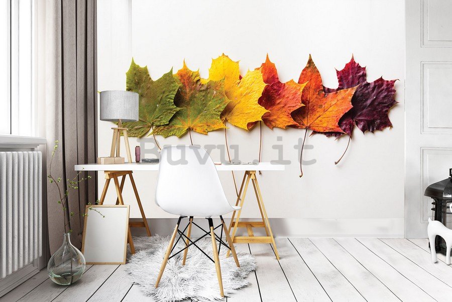 Fotomurale: Foglie in autunno - 254x368 cm