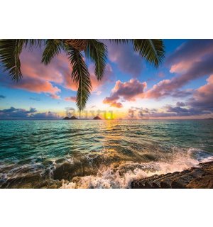 Fotomurale: Paradiso tropicale (3) - 184x254 cm