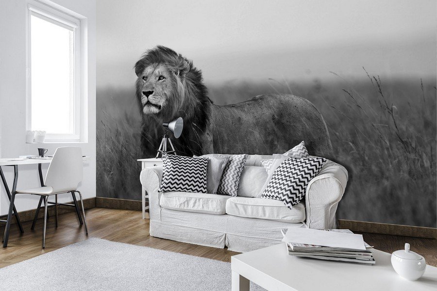 Fotomurale: Leone (bianco e nero) - 184x254 cm