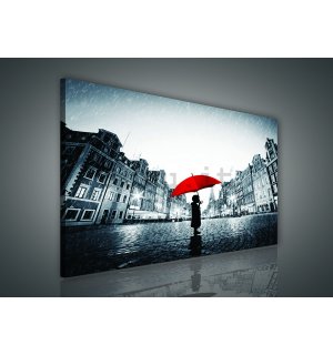 Quadro su tela: Sotto la pioggia - 75x100 cm