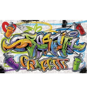 Fotomurale in TNT: Graffiti (5) - 254x368 cm