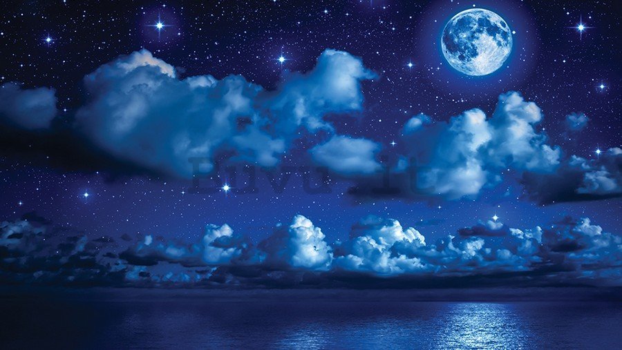 Fotomurale in TNT: Notte con la luna - 184x254 cm