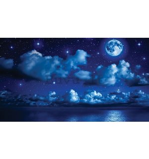 Fotomurale in TNT: Notte con la luna - 184x254 cm