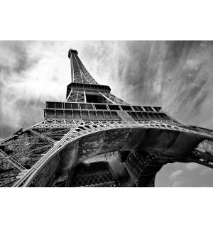 Fotomurale in TNT: Torre Eiffel (2) - 184x254 cm
