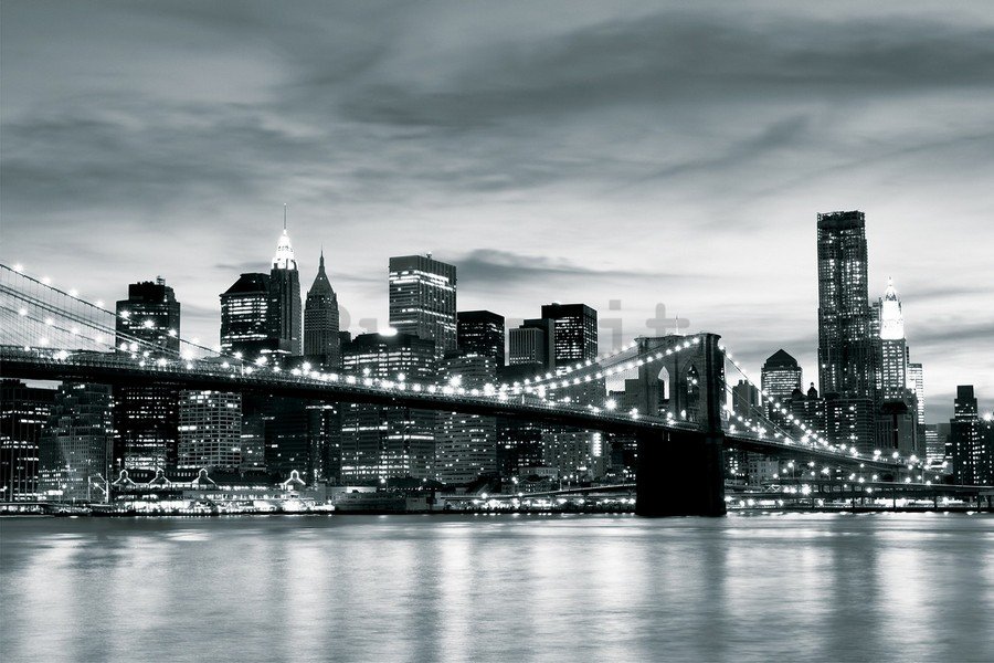 Fotomurale in TNT: Brooklyn Bridge (bianco e nero) - 254x368 cm