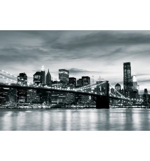 Fotomurale in TNT: Brooklyn Bridge (bianco e nero) - 254x368 cm