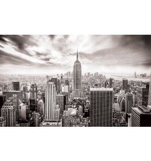 Fotomurale in TNT: Vista di New York (in bianco e nero) - 184x254 cm