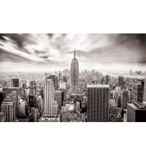 Fotomurale in TNT: Vista di New York (in bianco e nero) - 254x368 cm
