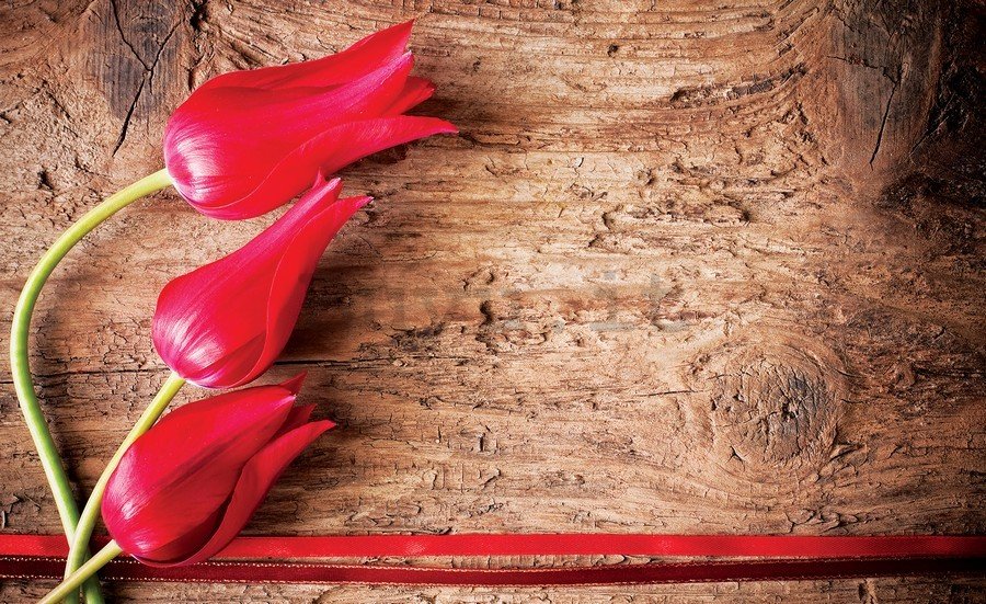 Fotomurale in TNT: Tulipani rossi (2) - 184x254 cm