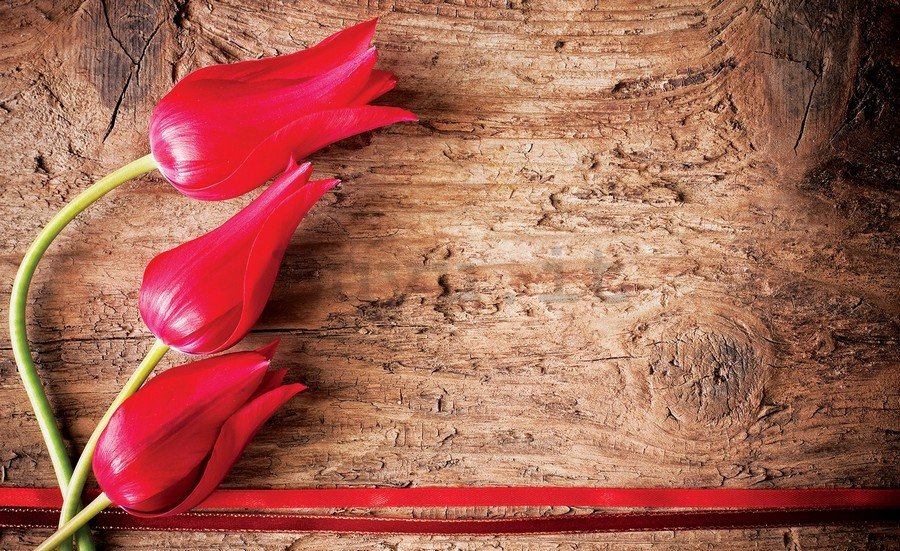 Fotomurale in TNT: Tulipani rossi (2) - 254x368 cm