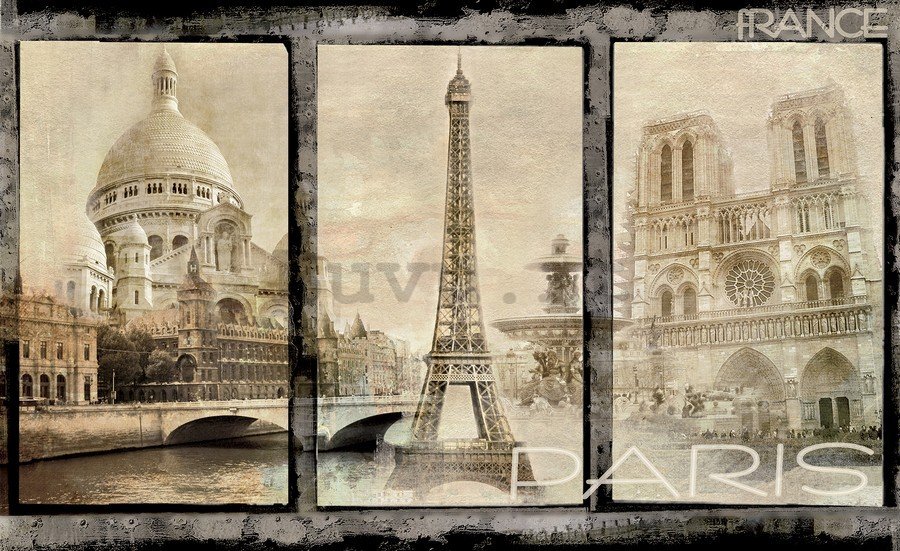 Fotomurale in TNT: Parigi (monumenti principali) - 184x254 cm