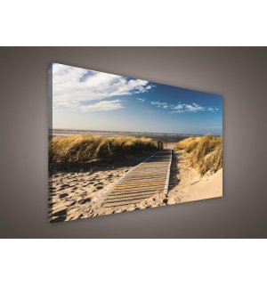 Quadro su tela: Sentiero sulla spiaggia (2) - 75x100 cm