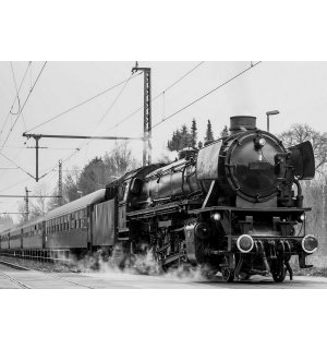 Fotomurale in TNT: Locomotiva a vapore (bianco e nero) - 184x254 cm