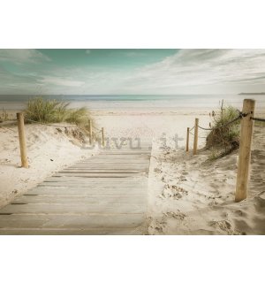 Fotomurale in TNT: Sentiero sulla spiaggia (10) - 184x254 cm