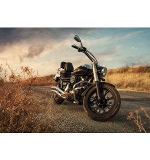 Fotomurale in TNT: Motocicletta (1) - 184x254 cm