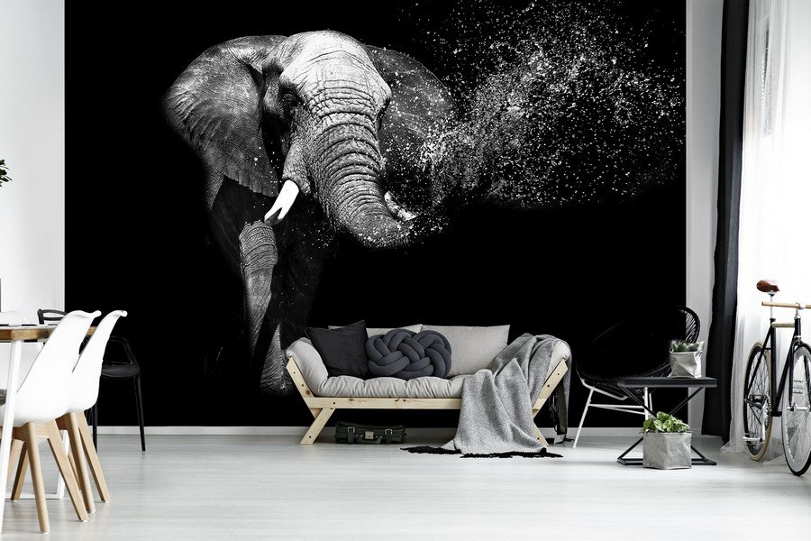 Fotomurale in TNT: Elefante in bianco e nero - 254x368 cm
