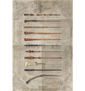 Poster - Harry Potter (The Wand Chooses The Wizard)