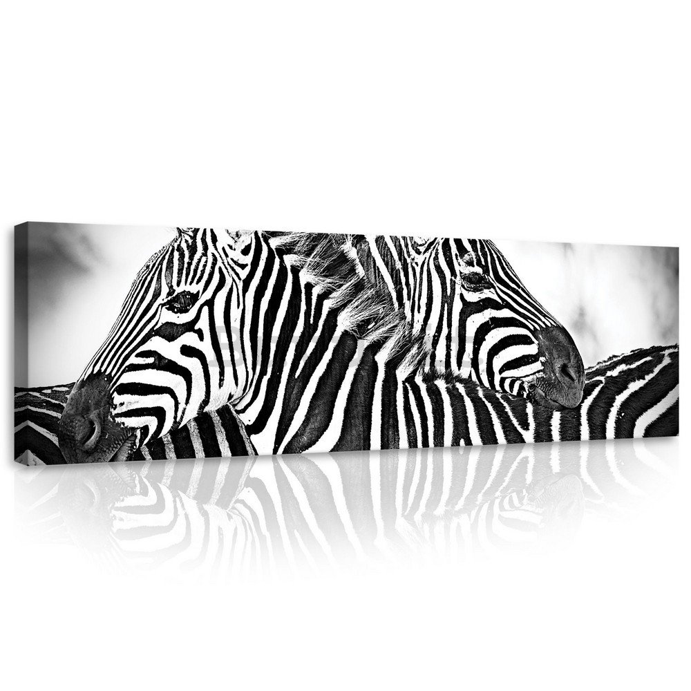Quadro su tela: Zebra (1) - 145x45 cm
