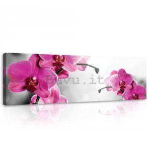 Quadro su tela: Orchidea (4) - 145x45 cm
