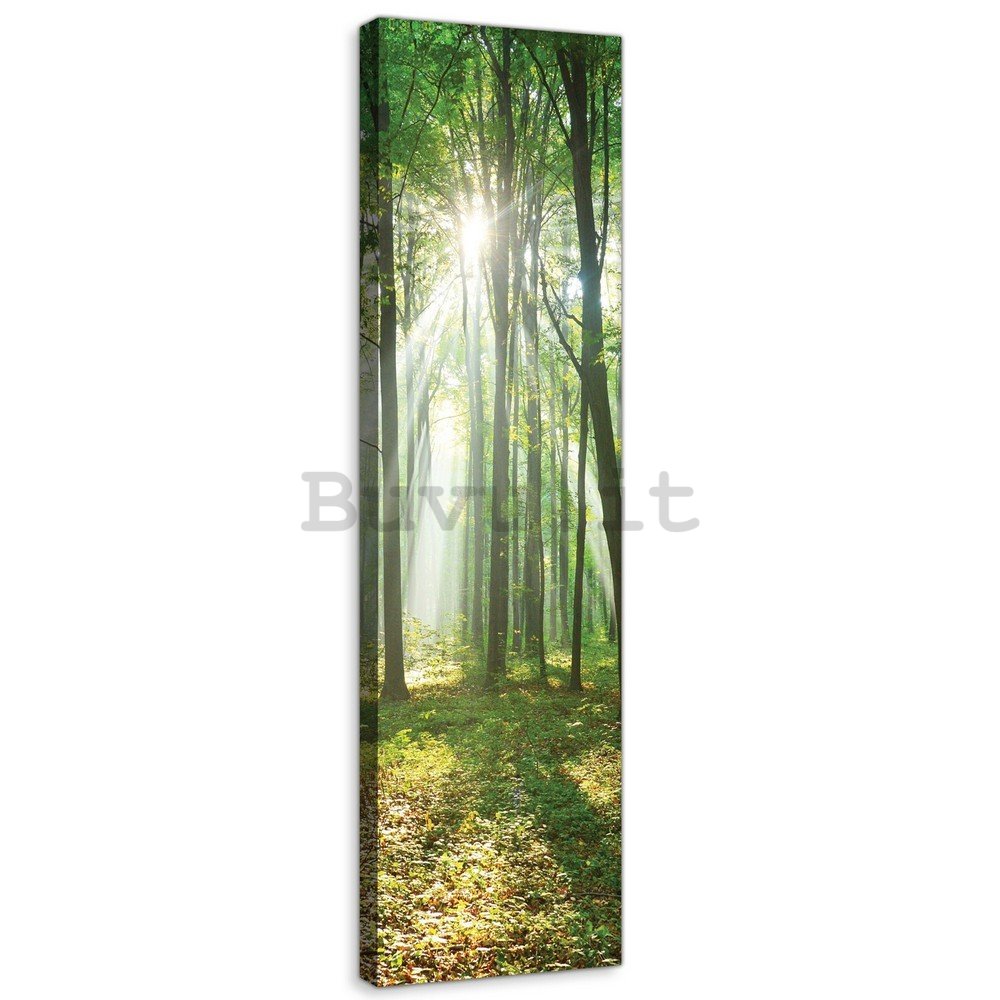 Quadro su tela: Sole nel bosco (3) - 145x45 cm