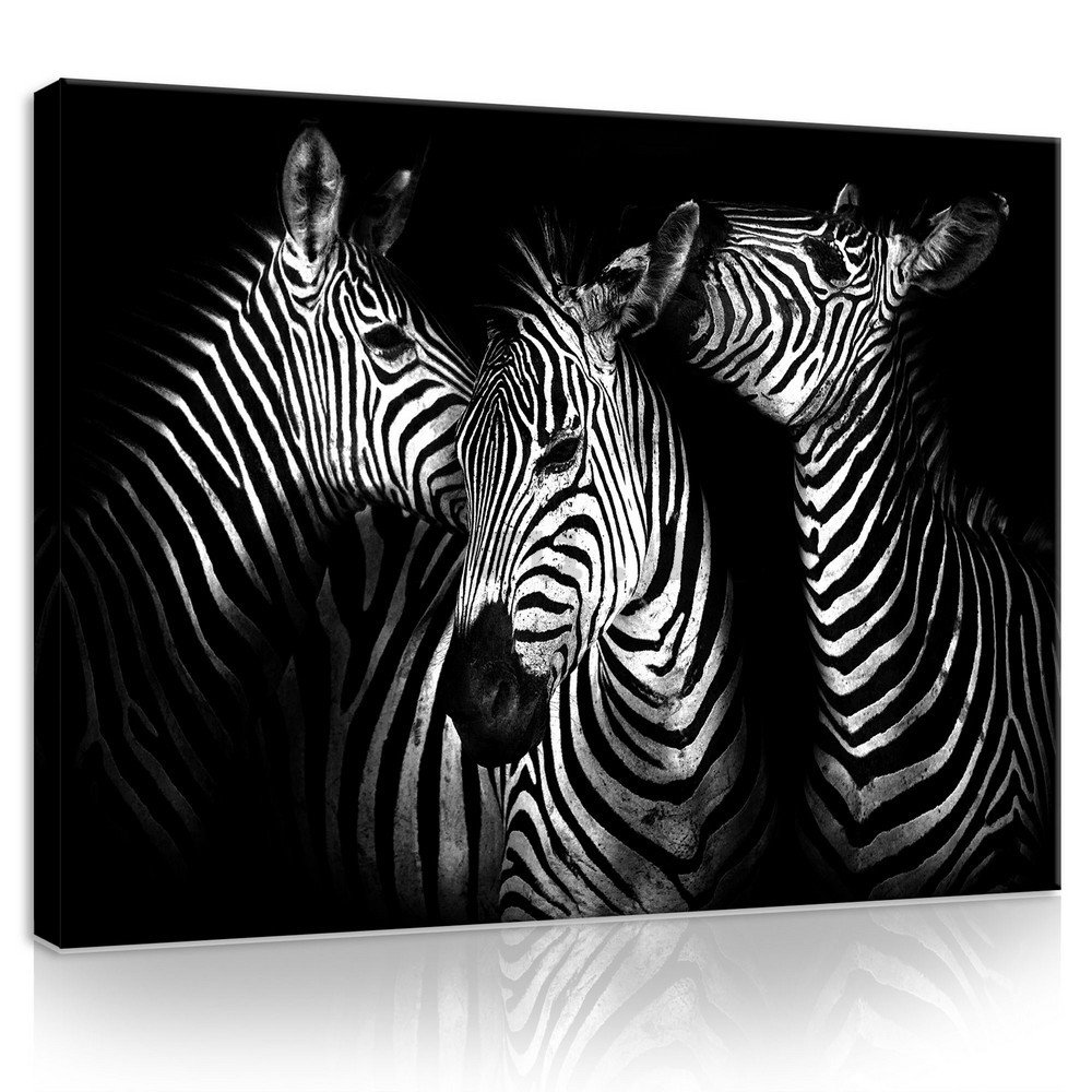 Quadro su tela: Zebre (4) - 75x100 cm
