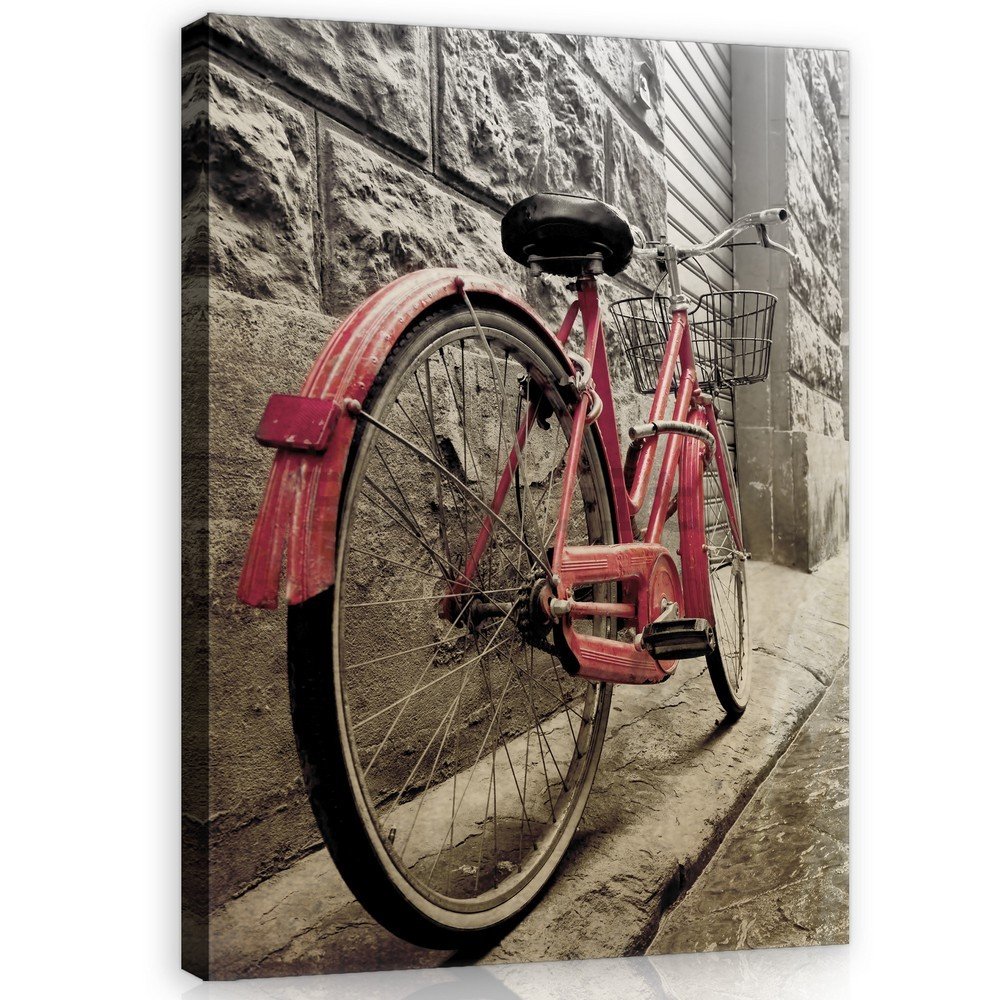 Quadro su tela: Bicicletta rosa - 100x75 cm