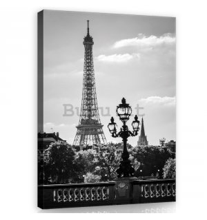 Quadro su tela: Torre Eiffel in bianco e nero - 100x75 cm