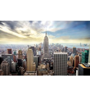 Fotomurale in TNT: Vista di Manhattan - 184x254 cm