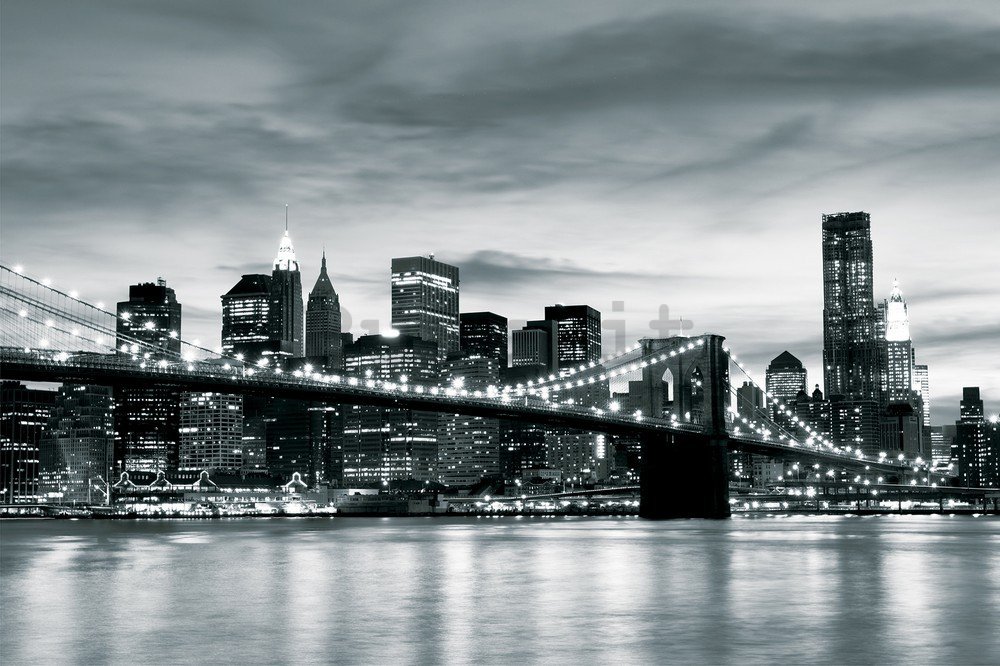Fotomurale in TNT: Brooklyn Bridge (bianco e nero) - 104x152,5 cm