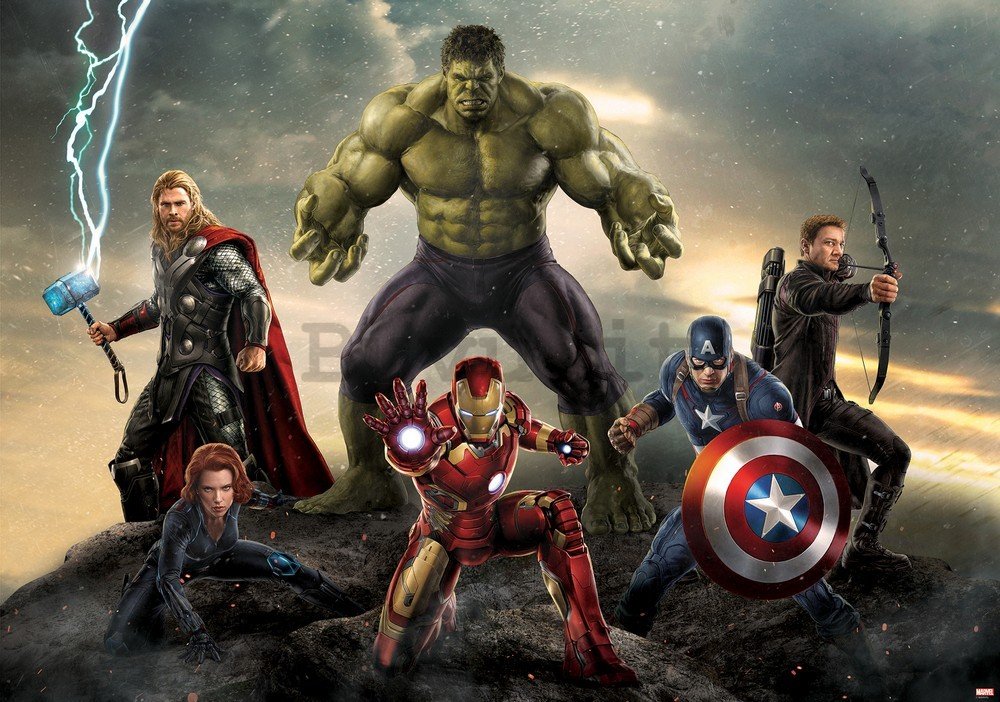 Fotomurale in TNT: Avengers (5) - 104x152,5 cm