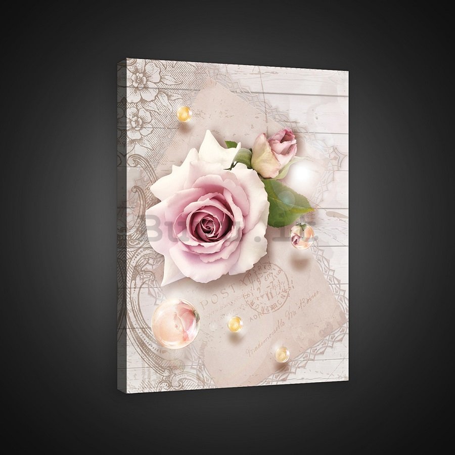 Quadro su tela: Sfondo di rose - 100x75 cm
