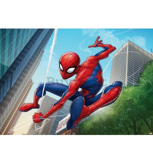 Fotomurale in TNT: Spiderman (8) - 104x152,5 cm
