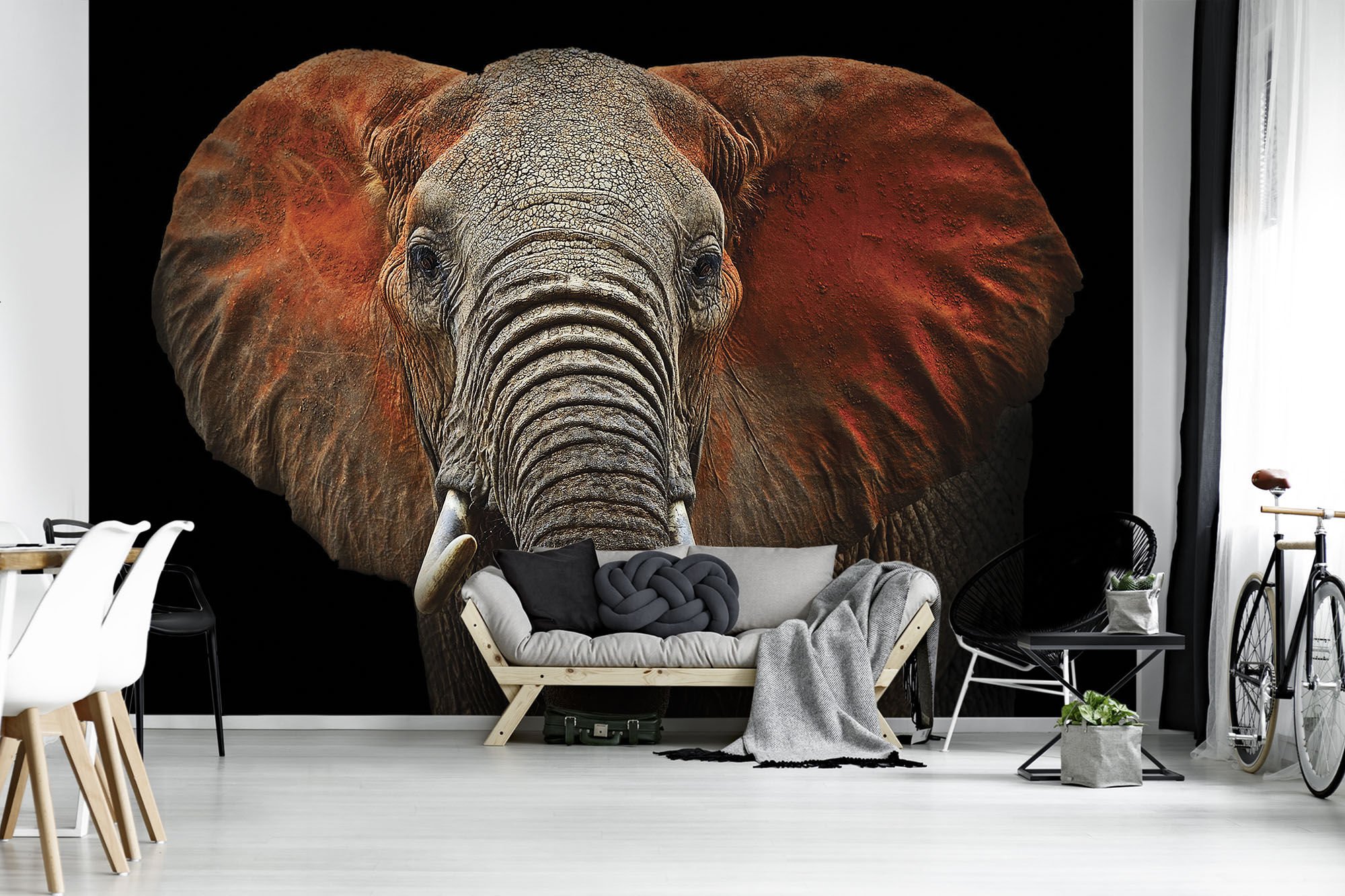 Fotomurale in TNT: Elefante (particolare) - 184x254 cm
