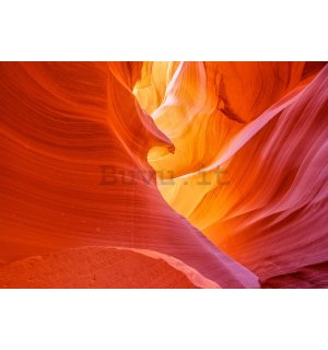 Fotomurale in TNT: Antelope Canyon (1) - 184x254 cm