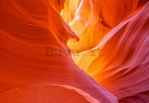 Fotomurale in TNT: Antelope Canyon (1) - 254x368 cm