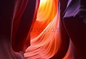 Fotomurale: Antelope Canyon (2) - 184x254 cm