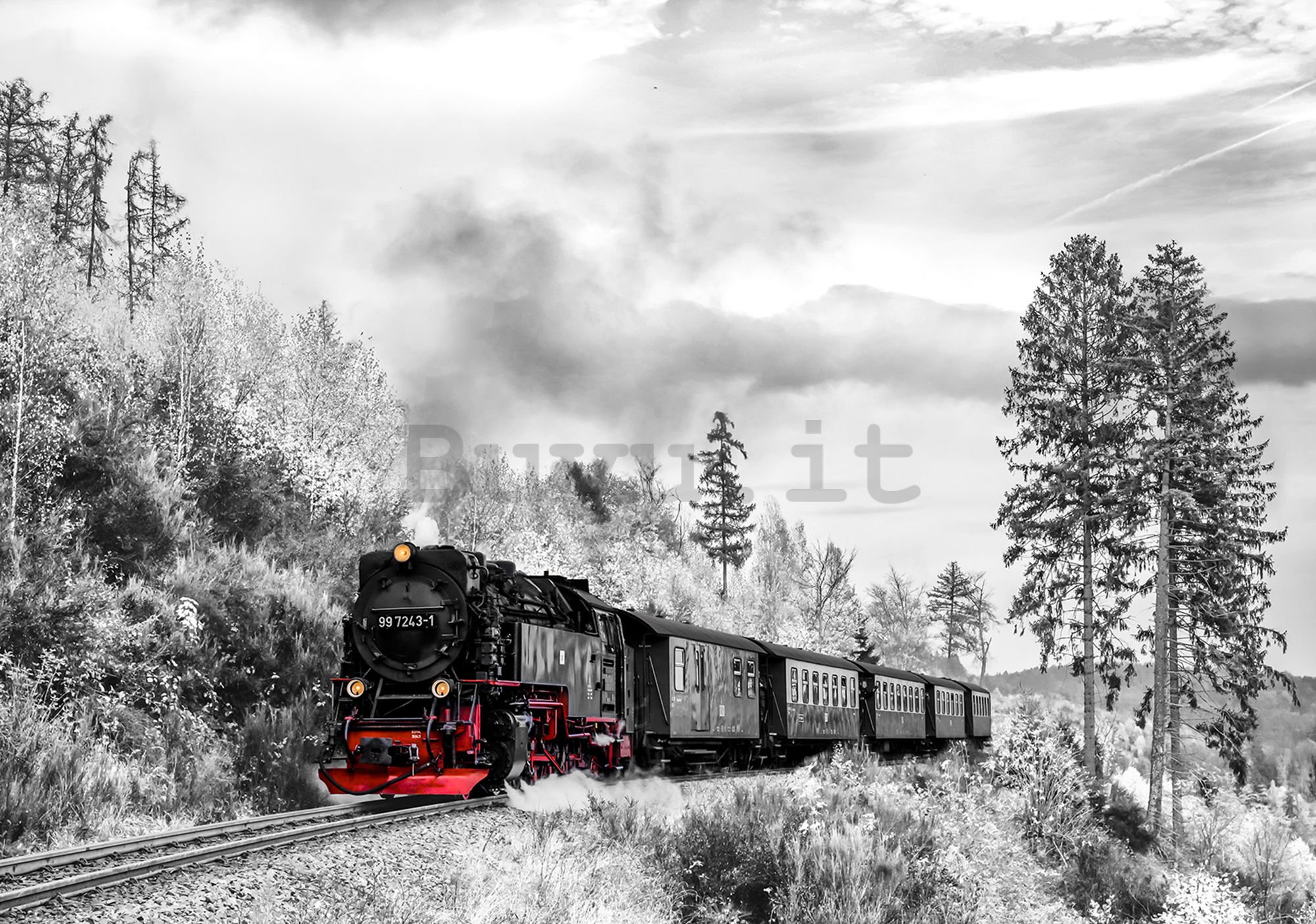 Fotomurale: Locomotiva a vapore (1) - 254x368 cm